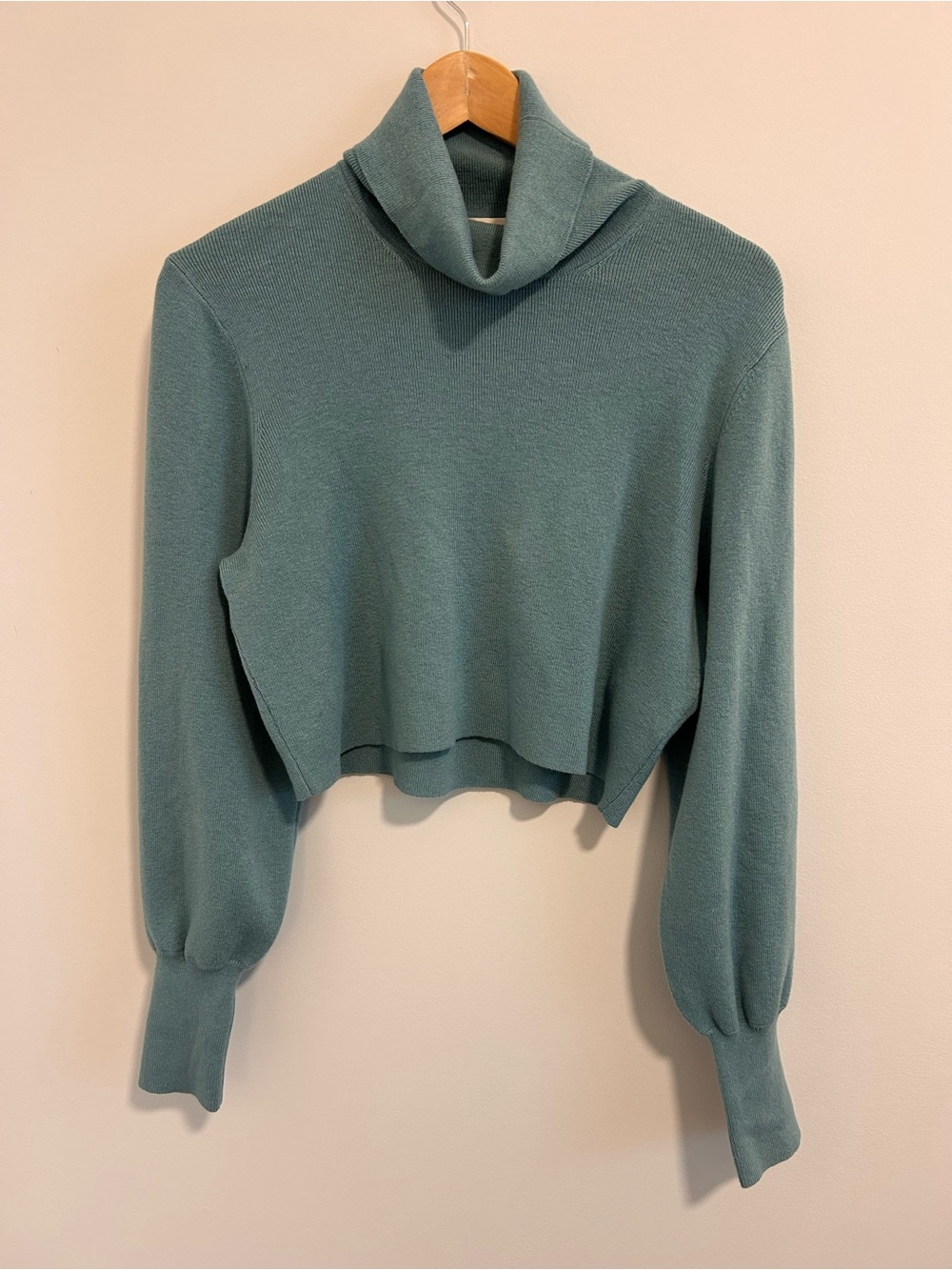 Aritzia Wilfred Wool Blend Cropped Turtleneck Sweater Blue Green Size Small - Picture 2 of 6